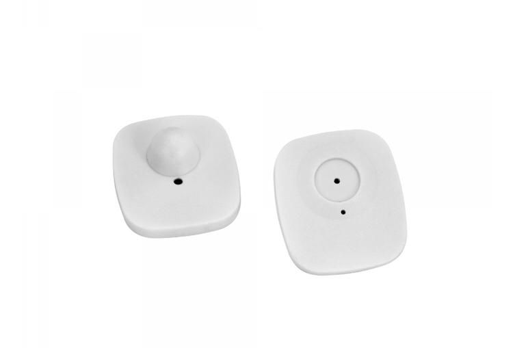 Imagem PNG, Ícone 04